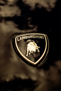 45+] Lamborghini Logo Wallpaper HD on WallpaperSafari