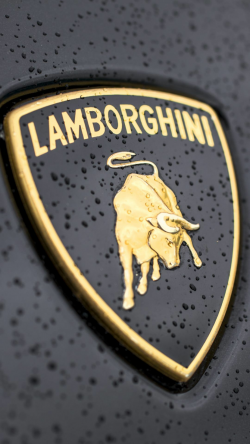 Lamborghini Logo Close-up #iPhone #6 #plus #wallpaper ...