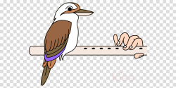 bird beak laughing kookaburra woodpecker clipart - Bird ...