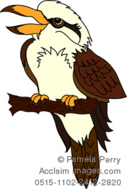 laughing bird clipart & stock photography | Acclaim Images