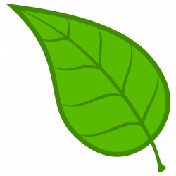 leaves Leaf free download clip art on clipart library png - ClipartPost