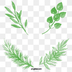 Leaf Clipart, Download Free Transparent PNG Format Clipart Images on ...