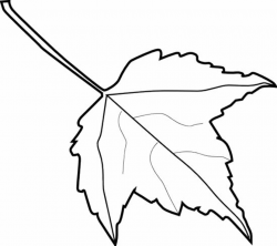 Free Leaf Images Black And White, Download Free Clip Art, Free Clip ...