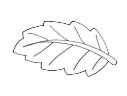 Leaves Clipart Black And White - 54 cliparts