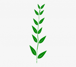 Bamboo, Leaves, Plant, Weed - Leaf Clipart Border - Free Transparent ...