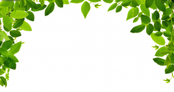 Leaves clipart border pencil and in color leaves jpg - ClipartPost