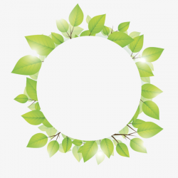 The Green Leaves Merge With The Light, Green Leaf, Leaf, Circle PNG ...