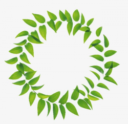 Green Leaves Combination Ring PNG, Clipart, Around, Circle, Circle ...