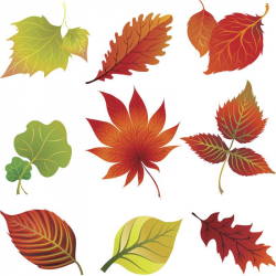 Fall leaves clip art vector | Printables,Borders,Flourish and Vector ...