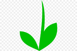 Plant Stem Plant png download - 438*599 - Free Transparent Plant ...