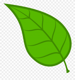 Leaves Leaf Free Download Clip Art On Clipart Library - Green Leaves ...