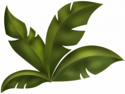 Jungle Leaves Clipart | Free download best Jungle Leaves Clipart on ...