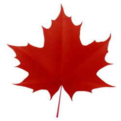 Free Canadian Maple Leaf, Download Free Clip Art, Free Clip Art on ...