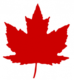 Maple Leaf Clipart transparent PNG - StickPNG