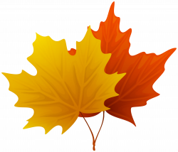 Maple leaf fall maple leaves decorative clipart image - ClipartBarn