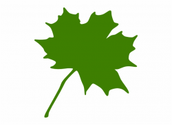 Maple Leaf Clipart Green Maple Leaf Clipart Clipart - Orange Leaf ...