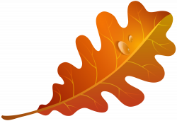 Free Orange Leaves Cliparts, Download Free Clip Art, Free Clip Art ...