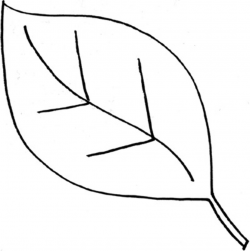 Leaf outline 3 cliparts - ClipartPost