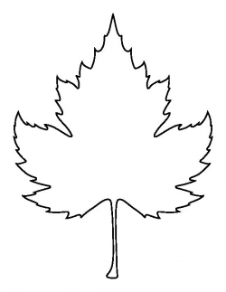 Leaf outline sycamore leaf pattern use the printable for cliparts ...