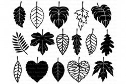Leaf SvG, Leaves SVG files for Silhouette Cameo and Cricut. Nature svg.