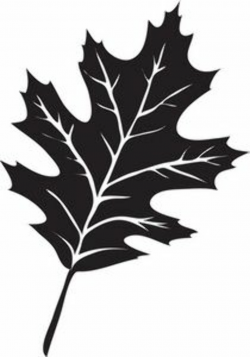 Leaf Clipart Image: The Silhouette Of A Oak Leaf | Home Castle~Wood ...