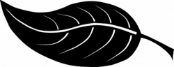 Free Leaf Silhouette Cliparts, Download Free Clip Art, Free Clip Art ...