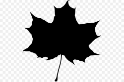 Drawing Plant png download - 570*596 - Free Transparent Drawing png ...