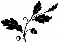Free Leaf Silhouette Cliparts, Download Free Clip Art, Free Clip Art ...