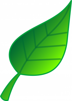 Simple Green Leaf Vector Art Free clipart free image