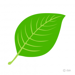 Simple Leaf Clipart Free Picture｜Illustoon