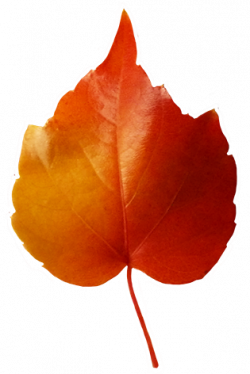 small red yellow leaf clipart | Birthday Wall & Classroom Door Ideas ...