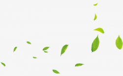 Small Green Leaves, Leaves, Green, Leaf PNG Image and Clipart for ...