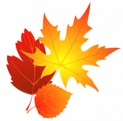 Transparent Fall Leaves Clipart | Gallery Yopriceville - High ...