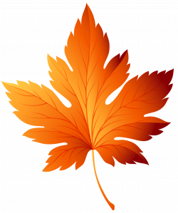 Autumn Leaf Transparent Picture Free Download | Free pictures in ...