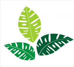 Free Tropical Leaf Cliparts, Download Free Clip Art, Free Clip Art ...