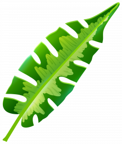 Free Tropical Leaf Cliparts, Download Free Clip Art, Free Clip Art ...