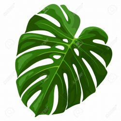 Tropical Leaves Clipart | Free download best Tropical Leaves Clipart ...