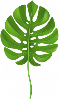 Pin By Kaitlyn Sutphin On Jungle Baby Shower Tropical Leaves Leaf ...