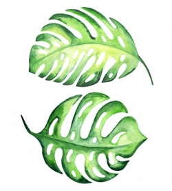 Free Tropical Leaf Cliparts, Download Free Clip Art, Free Clip Art ...