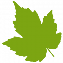 Free Oak Leaf Vector, Download Free Clip Art, Free Clip Art on ...