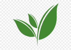 More Views - Tea Leaf Vector Png Clipart (#1546858) - PinClipart