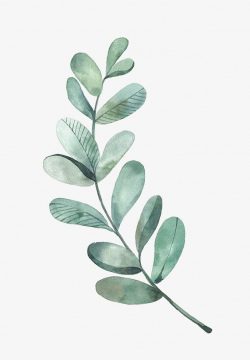 Green Leaves, Watercolor Leaves, Fresh, Literature And Art PNG ...