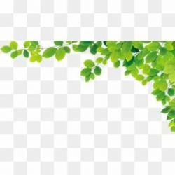 Green Leaves in 2019 | Leaves, Vector design, Clip art