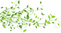 Decorative clipart leaves, Decorative leaves Transparent ...