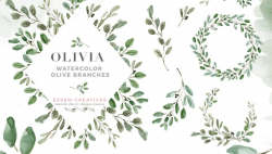 Watercolor Olive Branch Clipart, Olive Leaves Wreath, Leaf ...
