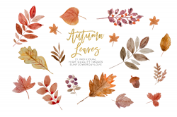 Watercolor autumn leaves ClipArt wreath