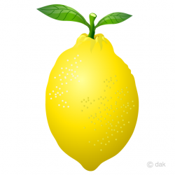 Free Lemon Clipart Image｜Illustoon