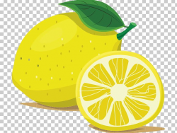 Download Cartoon Lemon Png - Transparent PNG -() png images ...