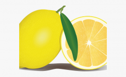 Orange Fruit Clipart Transparent Background - Transparent ...