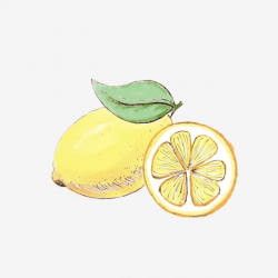 Hand Drawn Realistic Wind Watercolor Lemon Fresh Minimalist ...